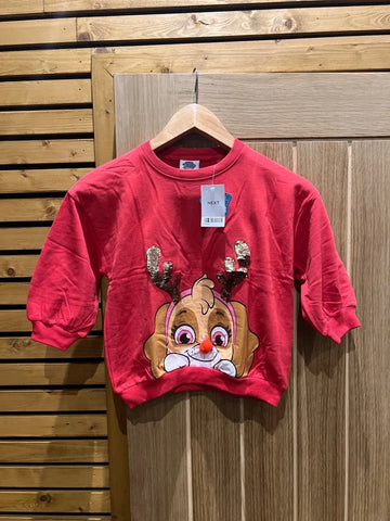 Paw Patrol Skye Festive Christmas Jumper NEW