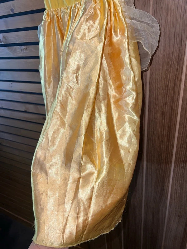 Disney Princess Reversible Belle/Aurora Fancy Dress