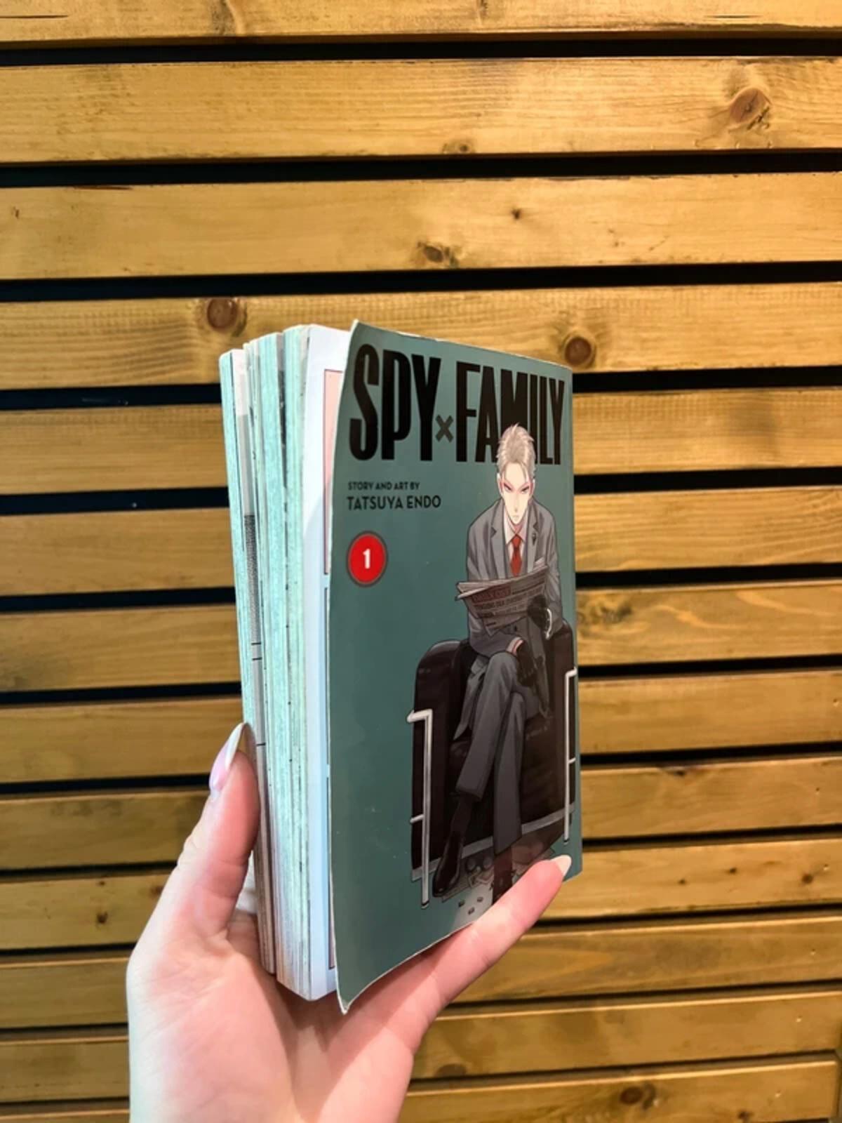 Spy x Family Story Art Book Tatsuya Endo