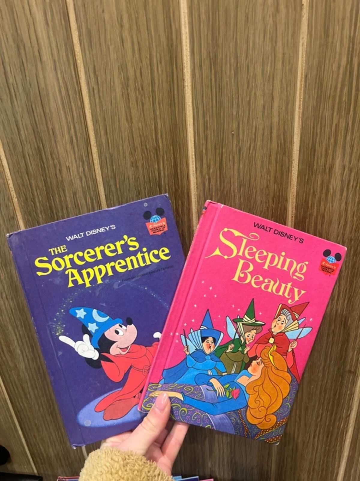 Vintage 1970’s Disney Book Bundle (18)