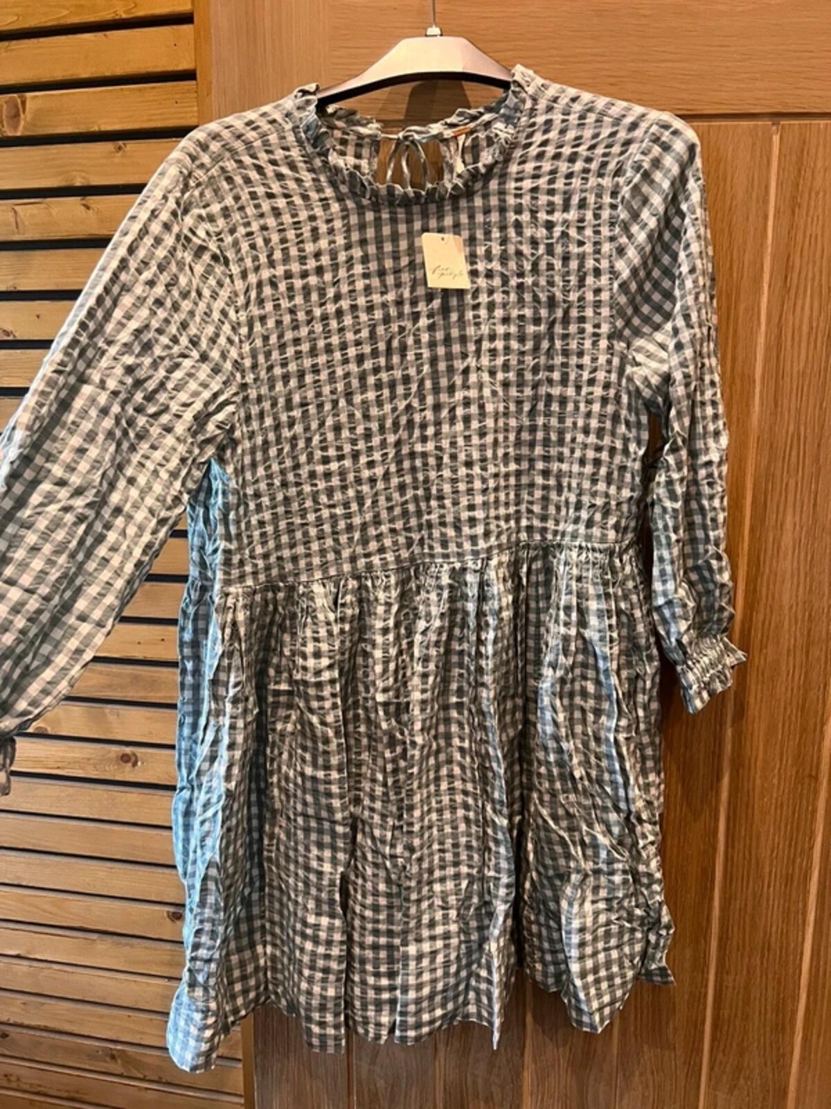 Free People Blue Check Gingham Dress L NEW