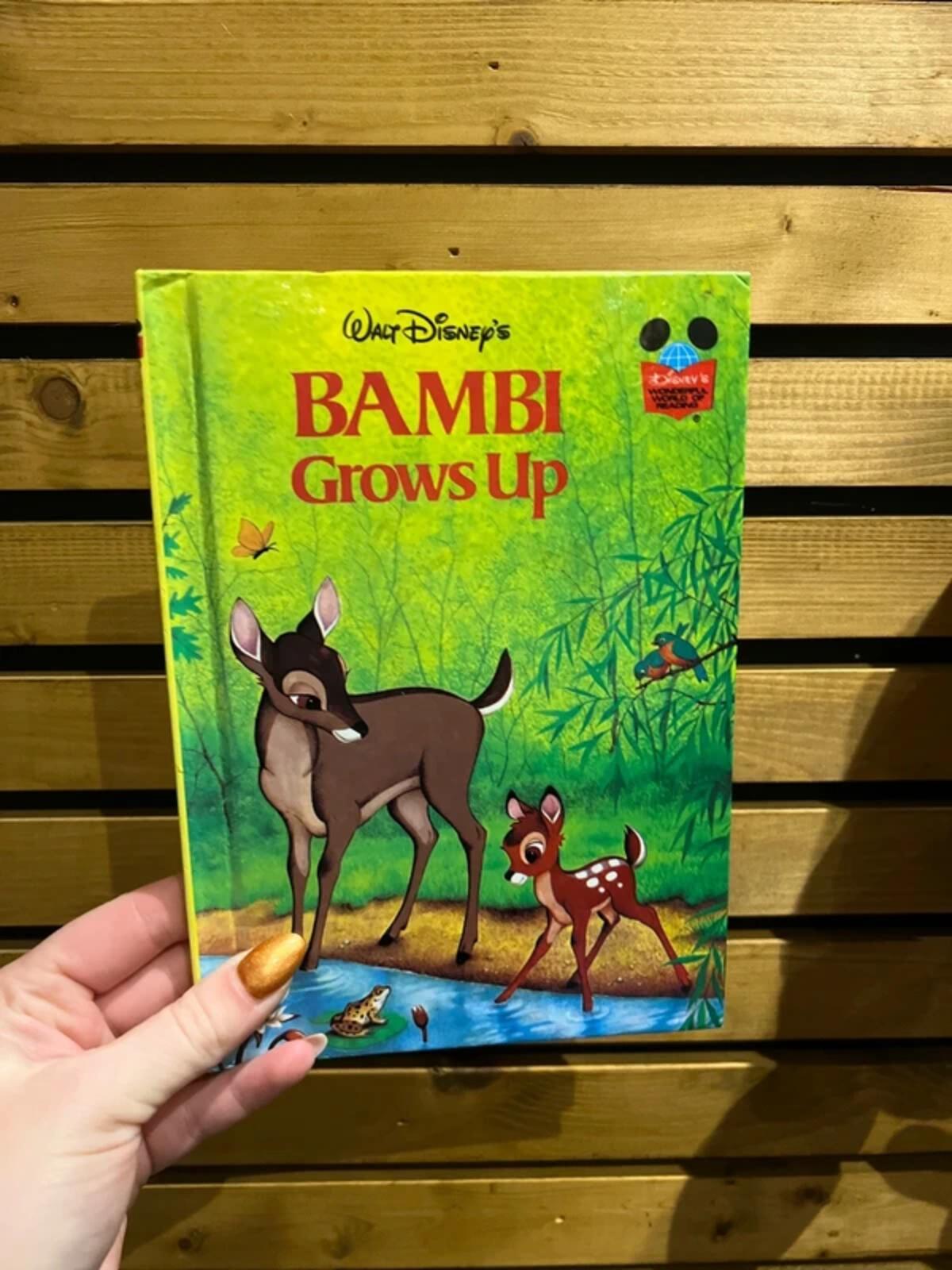Disney Bambi Thumper Plush Toy & Book Bundle