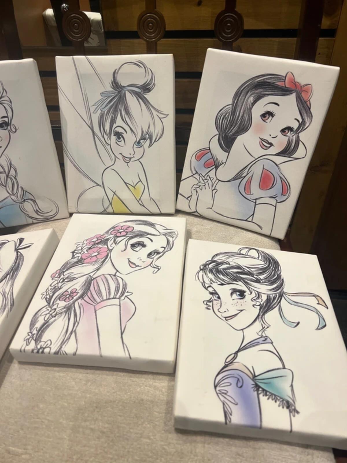 Disneyland Paris Princess Rare 2014 Canvas Artwork (6)