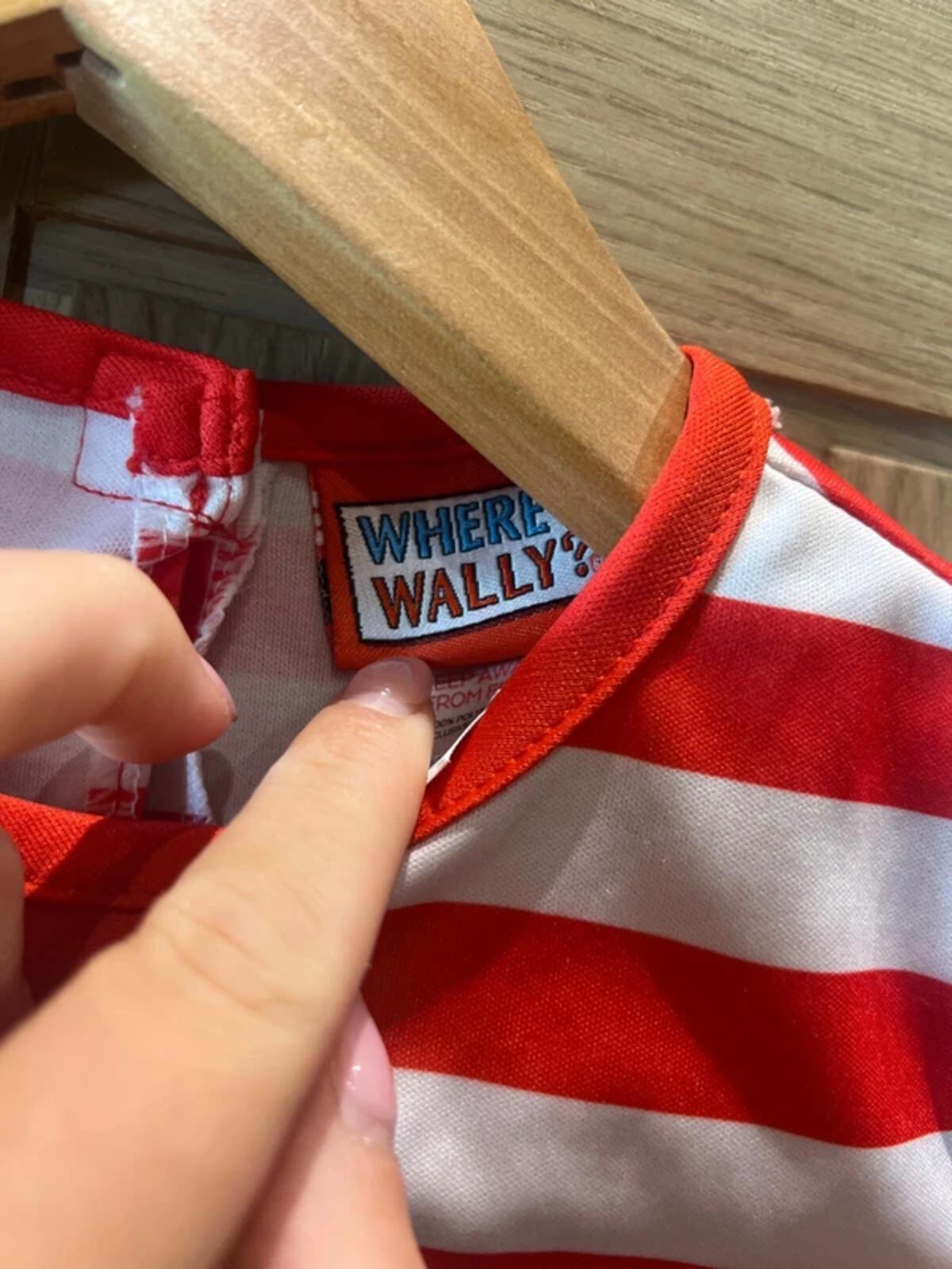 Where’s Wally Striped Long Sleeve Top Fancy Dress Costume 5-6Y