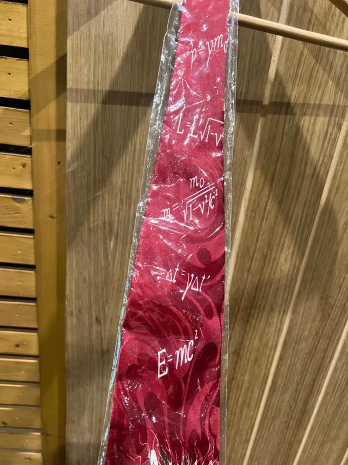 The Tie Studio Albert Einstein Hand Made Tie NEW