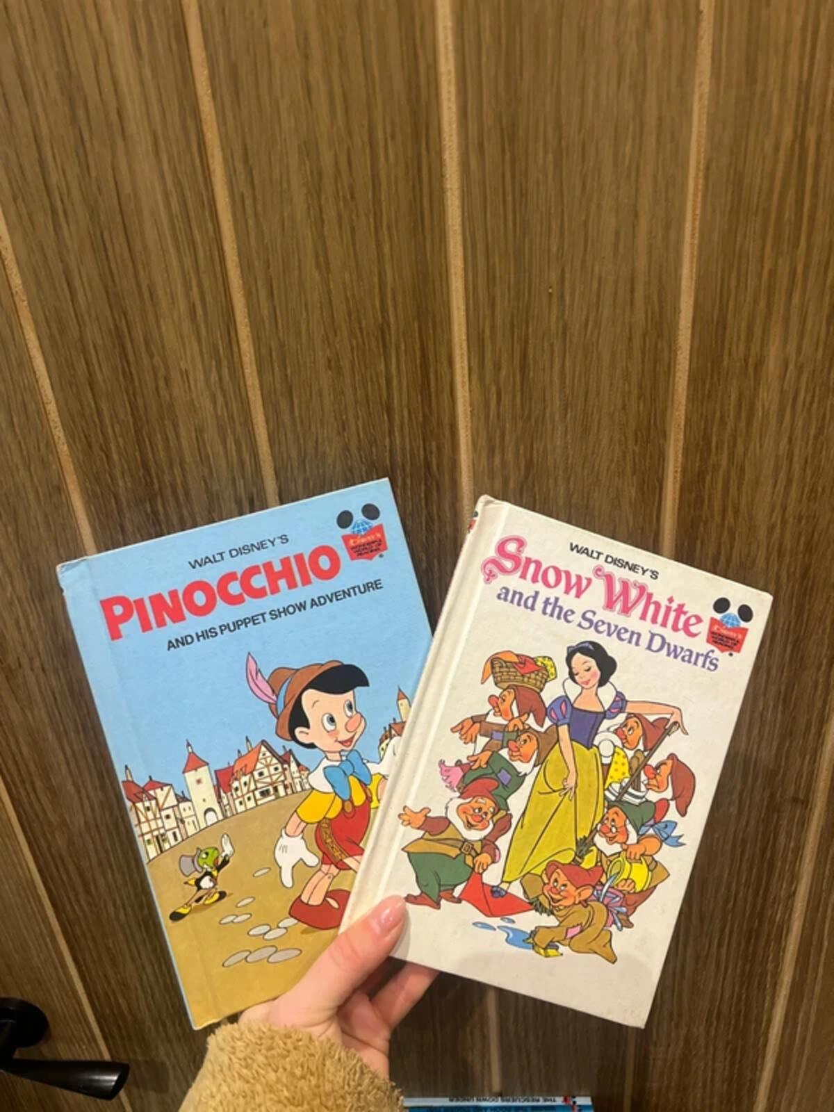 Vintage 1970’s Disney Book Bundle (18)