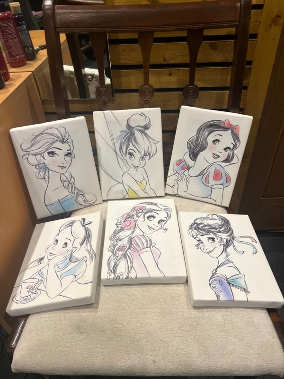 Disneyland Paris Princess Rare 2014 Canvas Artwork (6)