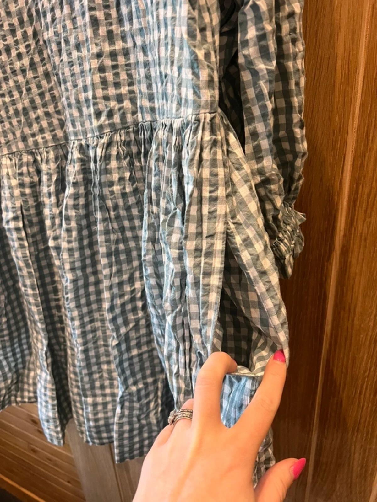 Free People Blue Check Gingham Dress L NEW