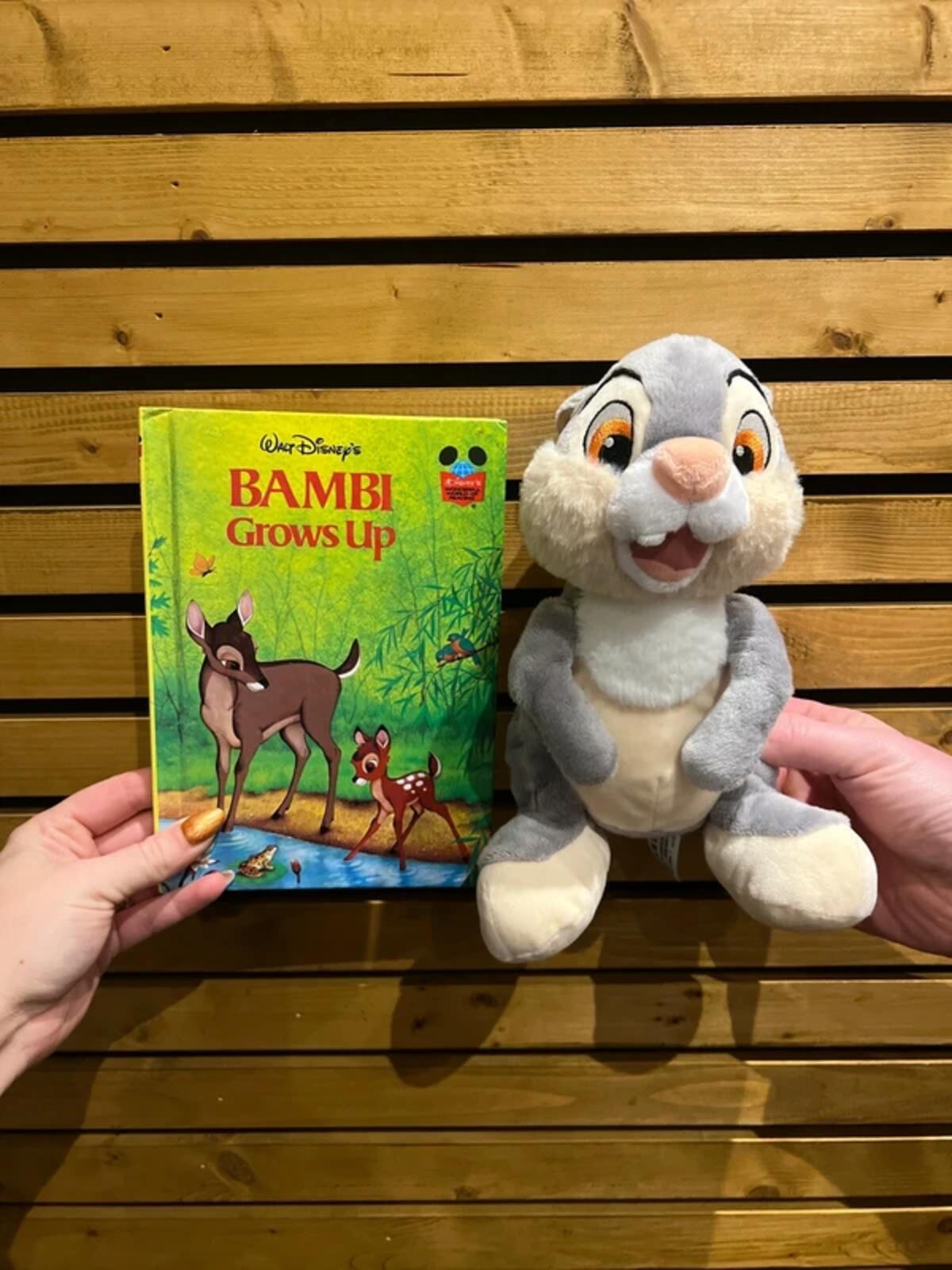 Disney Bambi Thumper Plush Toy & Book Bundle