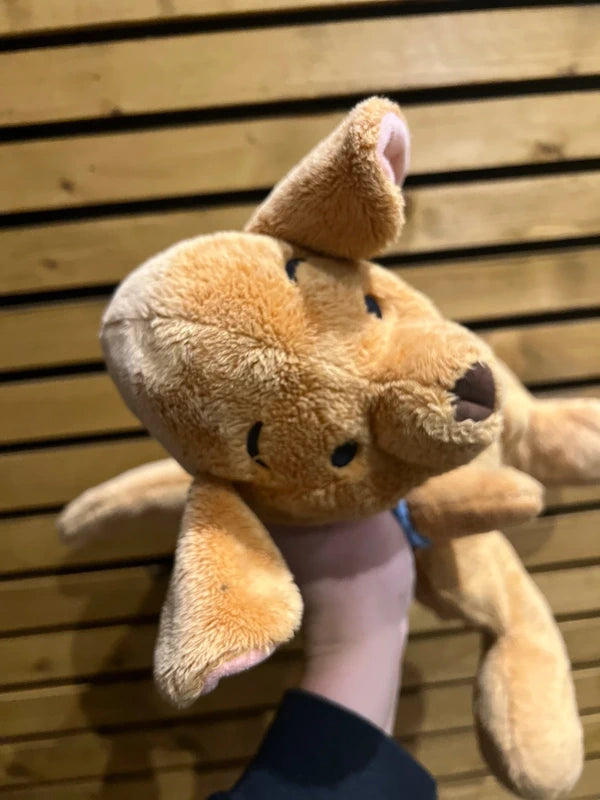 Winnie the Pooh Roo Gift Bundle