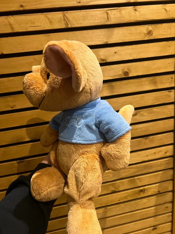 Winnie the Pooh Roo Gift Bundle