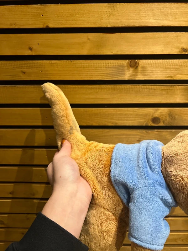 Winnie the Pooh Roo Gift Bundle